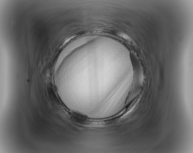 X0000086281353200704262028