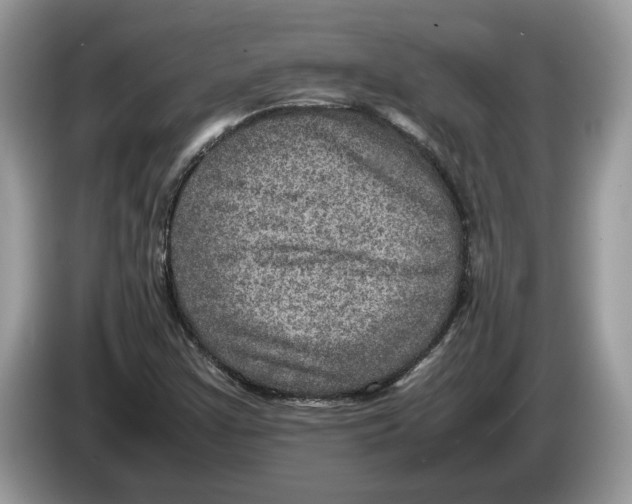 X0000086281355200704262028