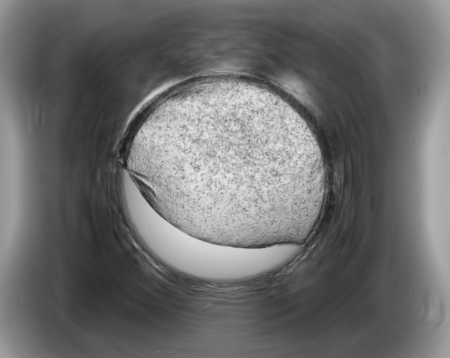 X0000086281356200704262028