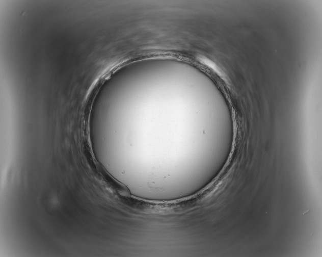 X0000086281357200704262028