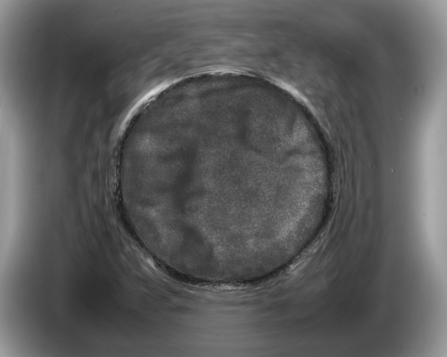 X0000086281359200704262028