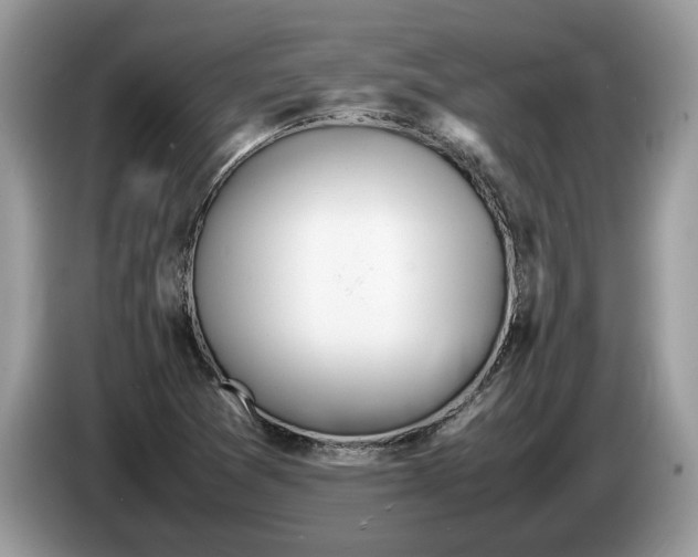 X0000086281361200704262028