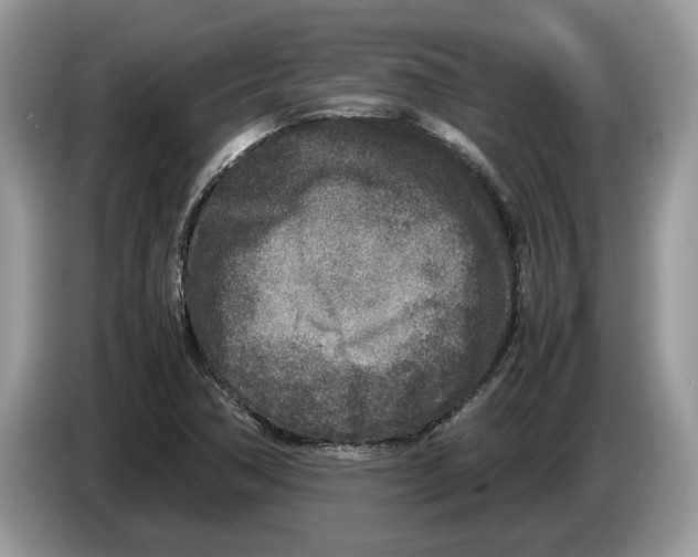 X0000086281362200704262028