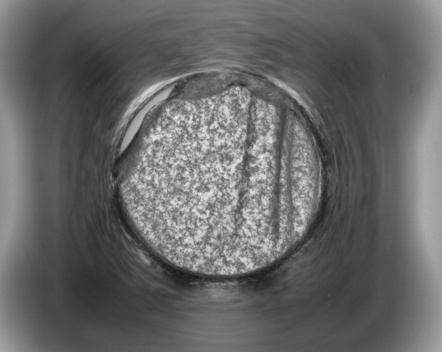X0000086281363200704262028