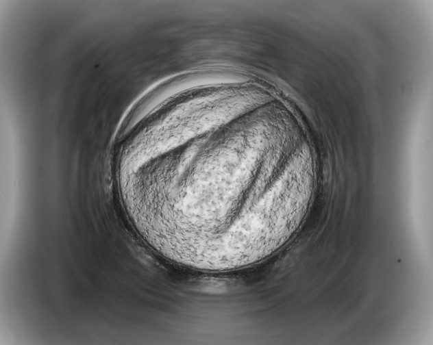 X0000086281364200704262028