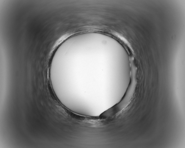 X0000086281365200704262028