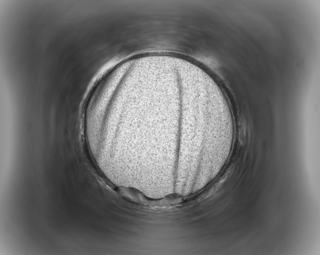 X0000086281366200704262028
