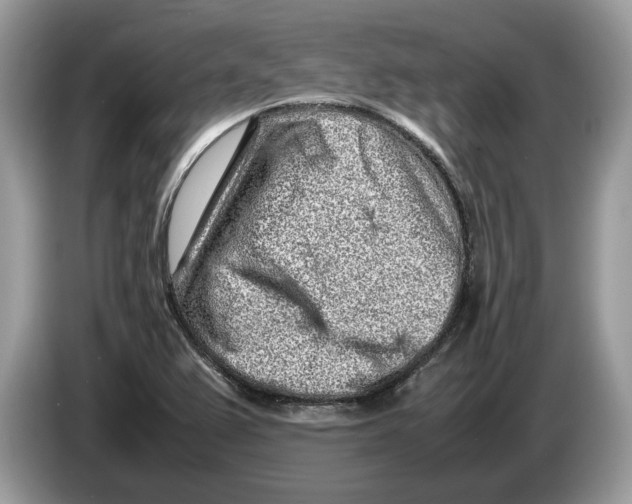X0000086281367200704262028