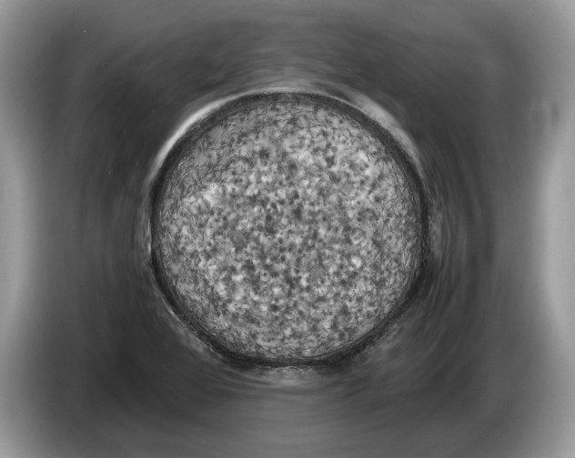 X0000086281368200704262028