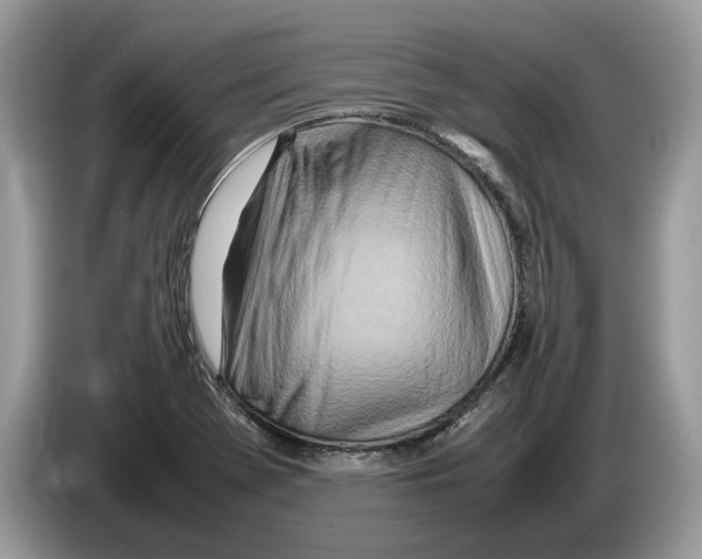 X0000086281369200704262028
