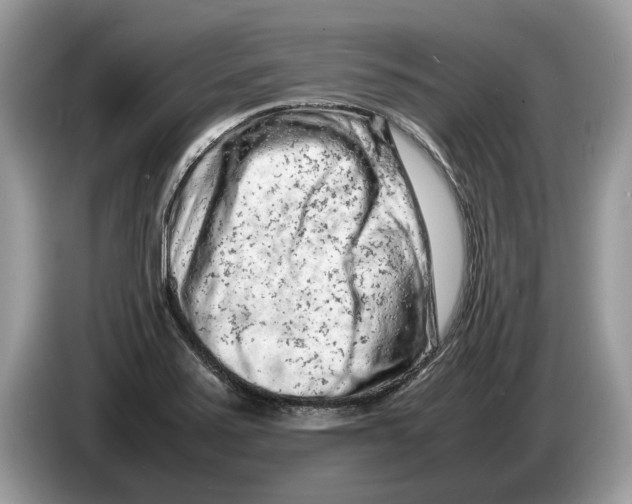 X0000086281371200704262028