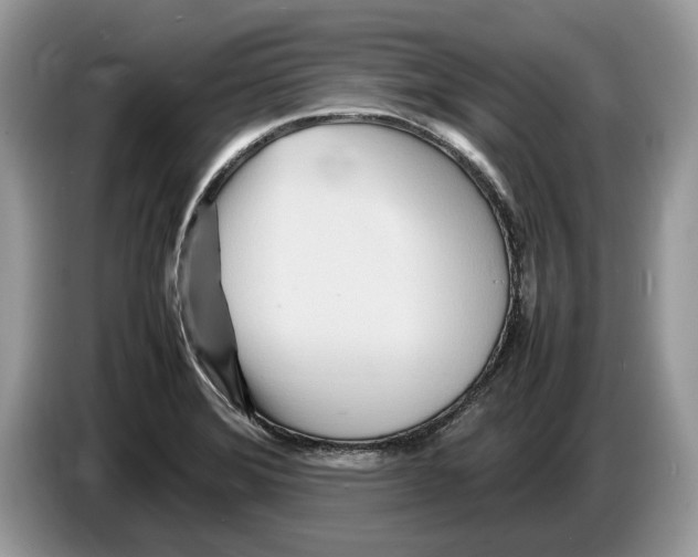 X0000086281372200704262028