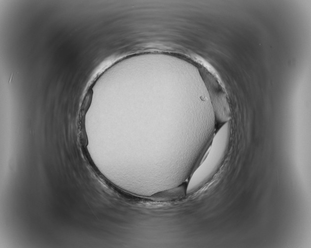X0000086281373200704262028