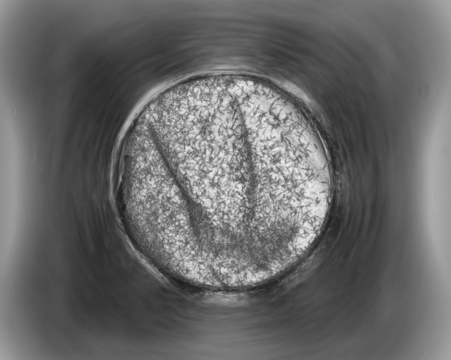 X0000086281374200704262028