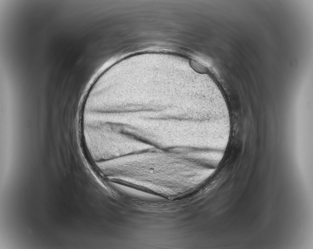 X0000086281375200704262028