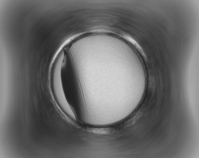 X0000086281376200704262028
