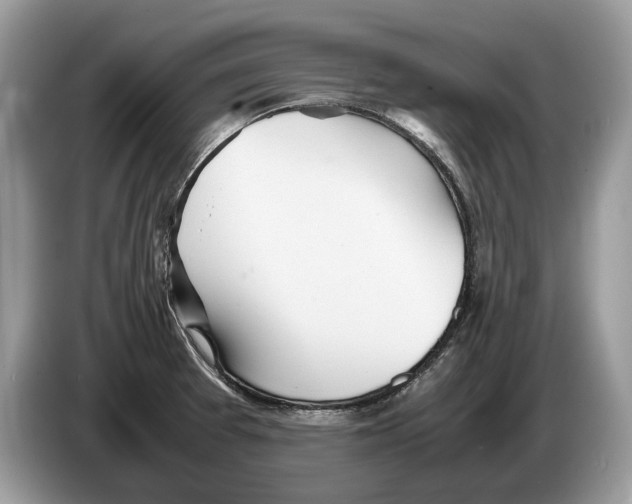 X0000086281377200704262028