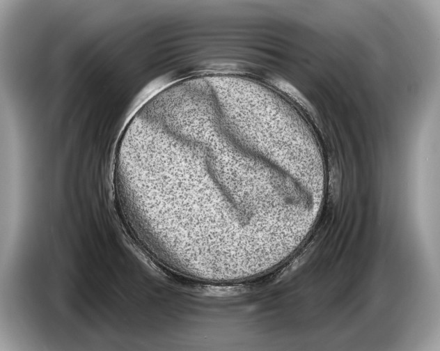 X0000086281378200704262028