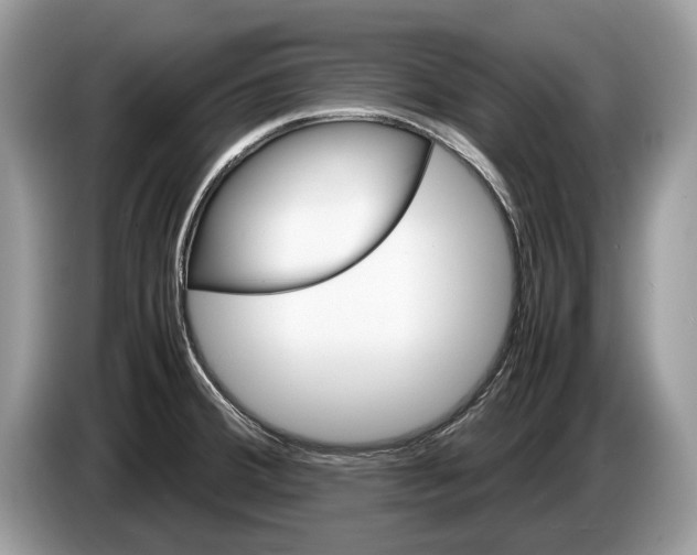 X0000086281380200704262027