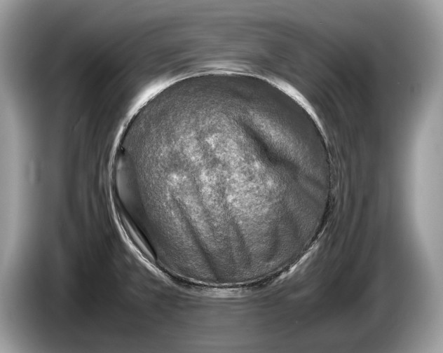 X0000086281381200704262027