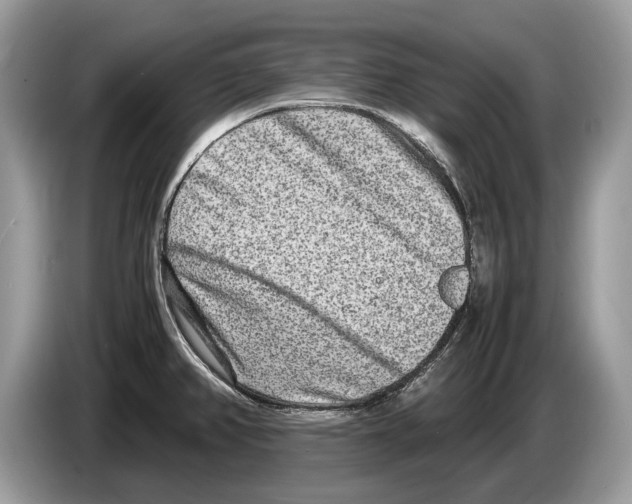 X0000086281382200704262027