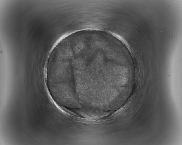 X0000086281383200704262027