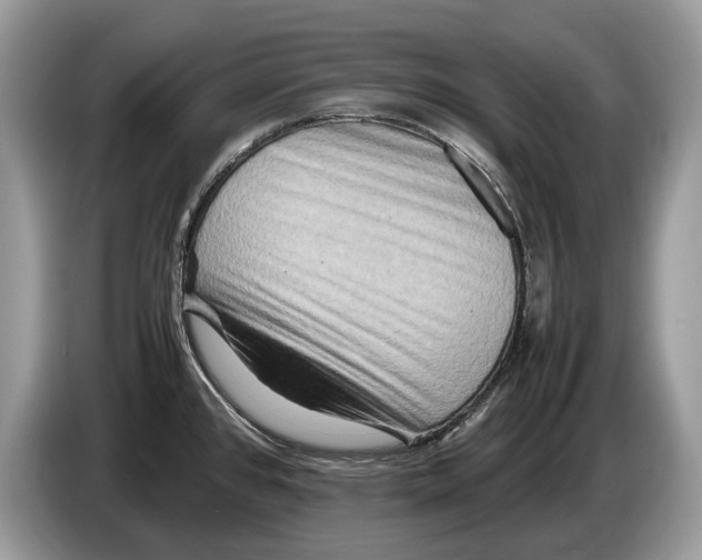 X0000086281384200704262027
