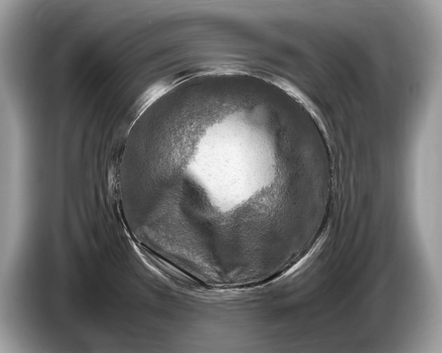 X0000086281385200704262027