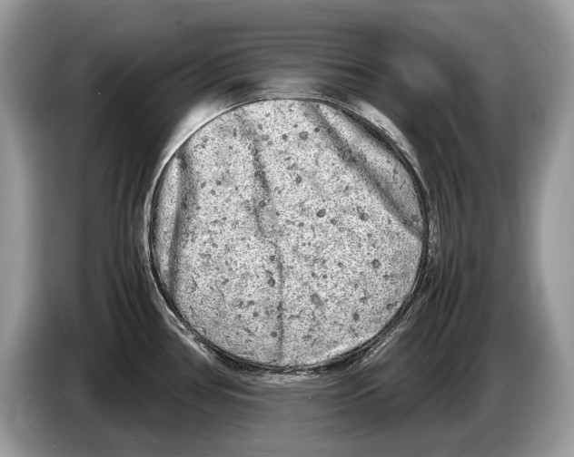 X0000086281386200704262027