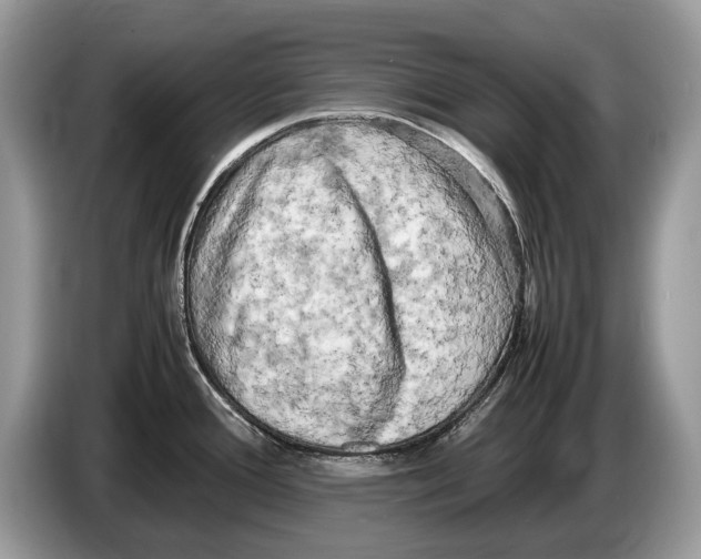 X0000086281388200704262027