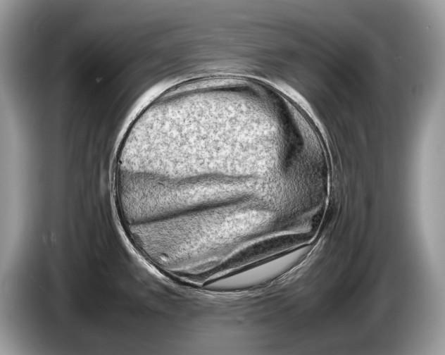 X0000086281389200704262027