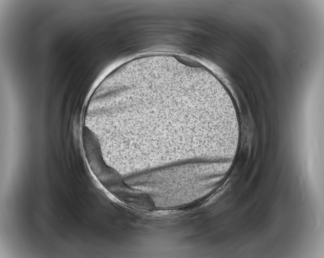X0000086281390200704262027