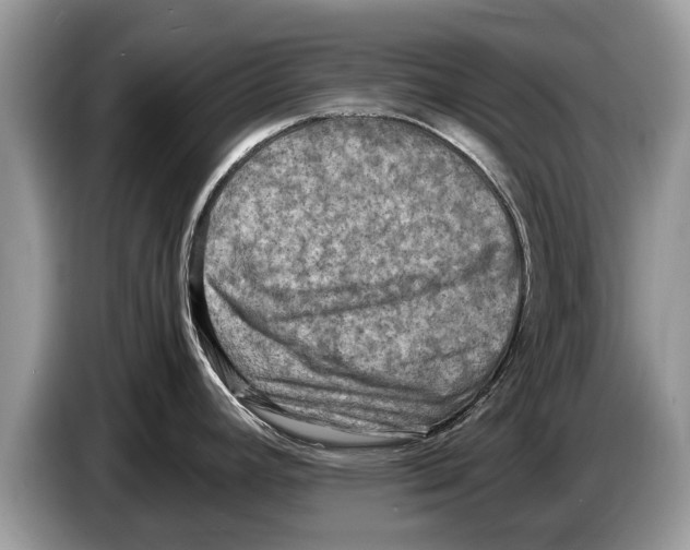 X0000086281392200704262027