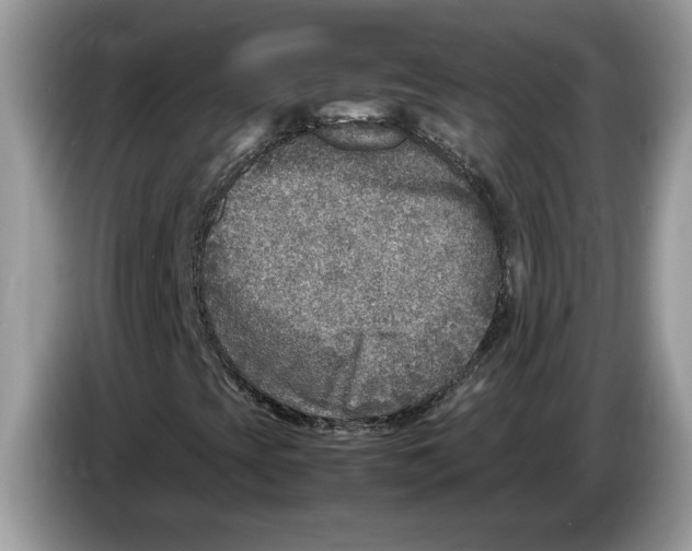 X0000086281393200704262027