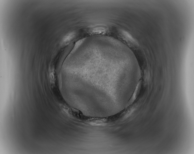 X0000086281394200704262027