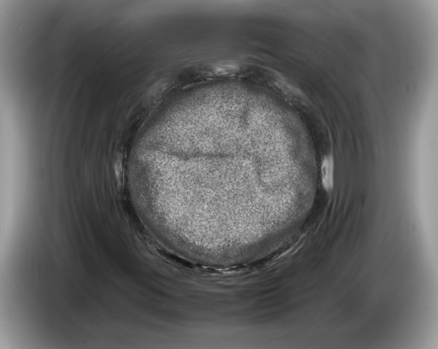X0000086281395200704262027