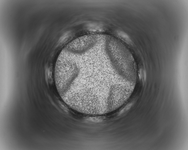 X0000086281396200704262027
