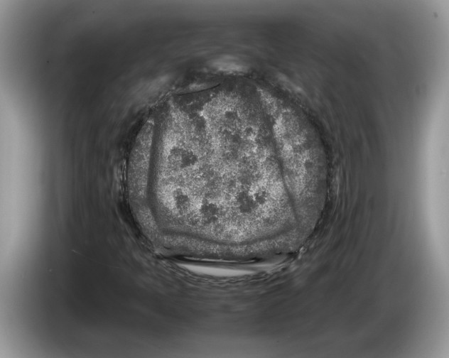 X0000086281397200704262027