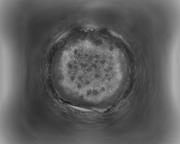 X0000086281399200704262027