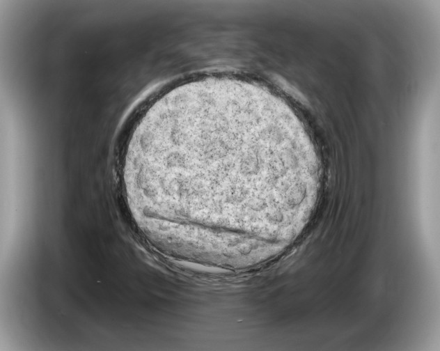 X0000086281400200704262027