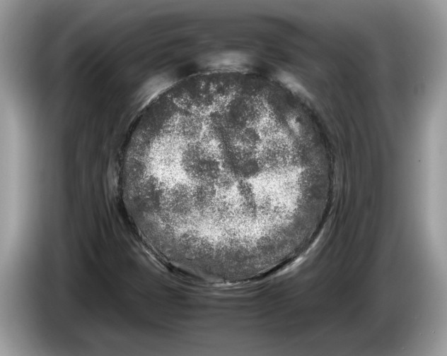 X0000086281401200704262027