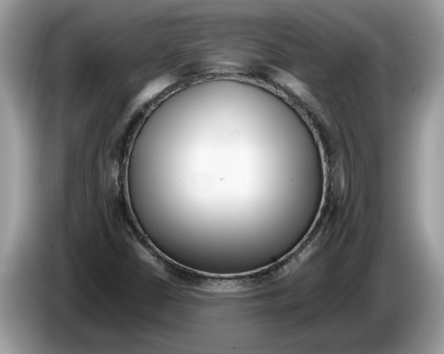 X0000086281402200704262027