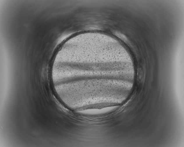 X0000086281404200704262027