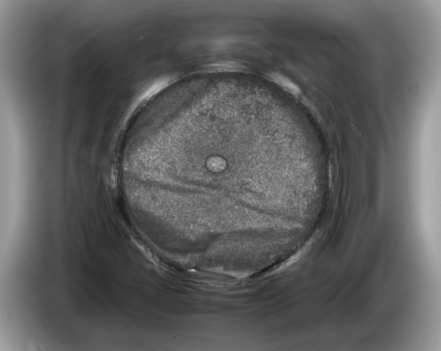 X0000086281405200704262027