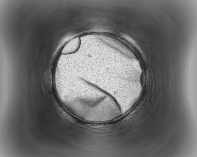 X0000086281408200704262027