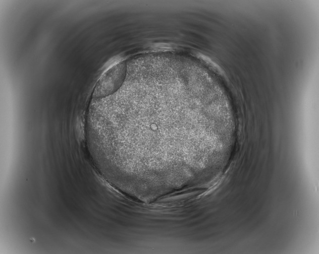 X0000086281409200704262027