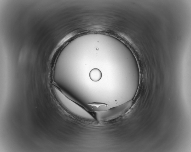 X0000086281410200704262027