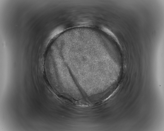 X0000086281411200704262027