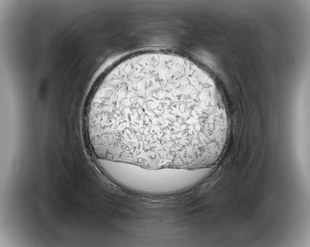 X0000086281412200704262027
