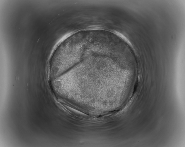 X0000086281413200704262027